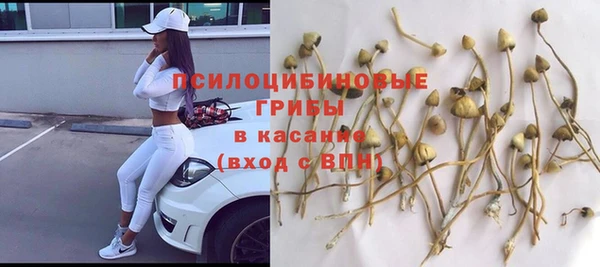 MDMA Premium VHQ Зеленодольск