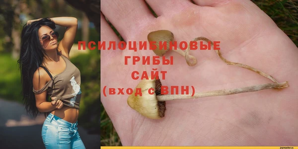 скорость Зеленокумск